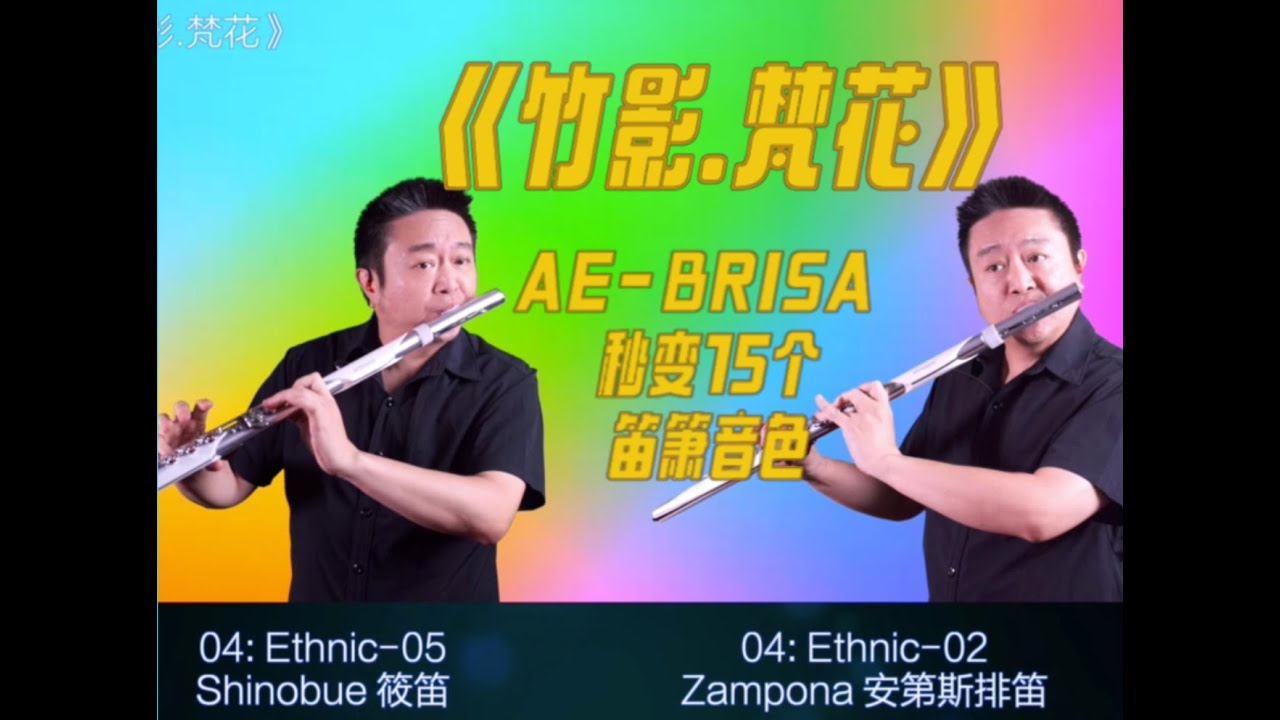 Aerophone Brisa秒变15个笛箫音色 原创《竹影.梵花 Bamboo Shade, Brahma Bloom》安颐爸爸音乐会