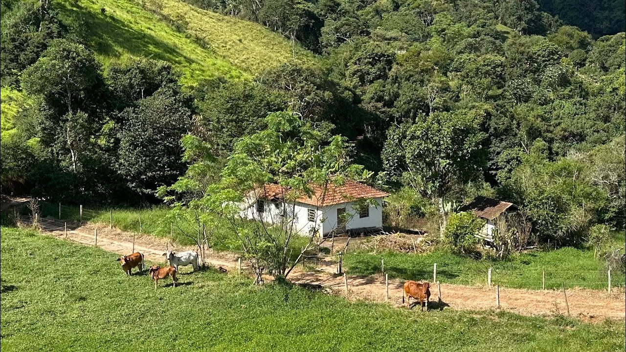 Chácara na Serra da Mantiqueira | Ideal para Gado e Produção de Morangos