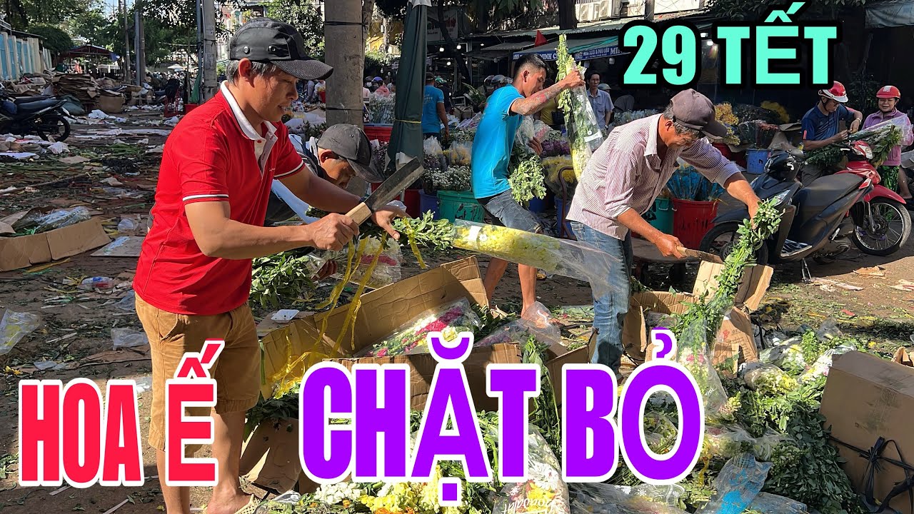 Tập 2871 HOA Ế CHẶT BỎ CHẤT ĐỐNG 29 TẾT