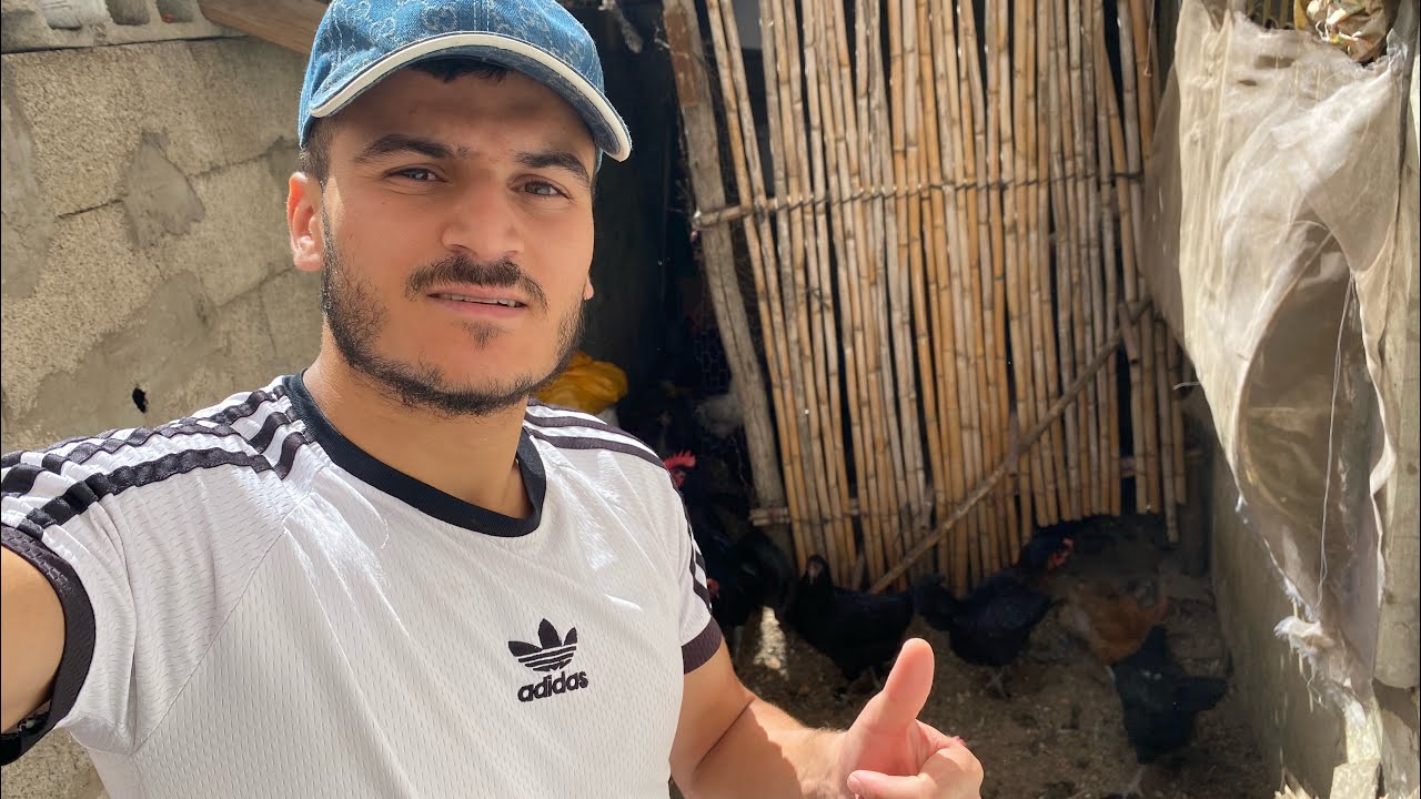 #الجديد معا #الدجاج 🐓🐣🥚