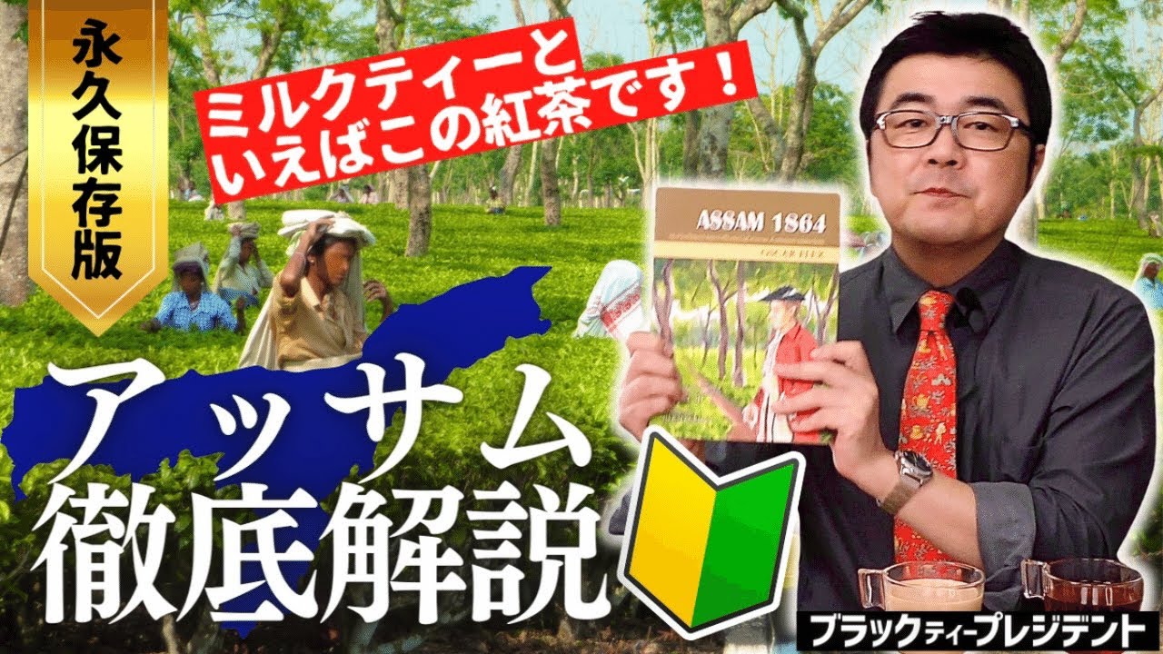【ミルクティー人気No.1】アッサム紅茶を徹底解説！なぜミルクとの相性が抜群なのか？