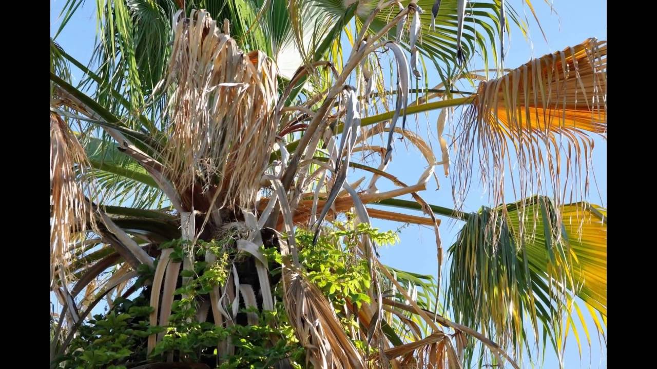 Minoa Apts Ammourdara Kreta