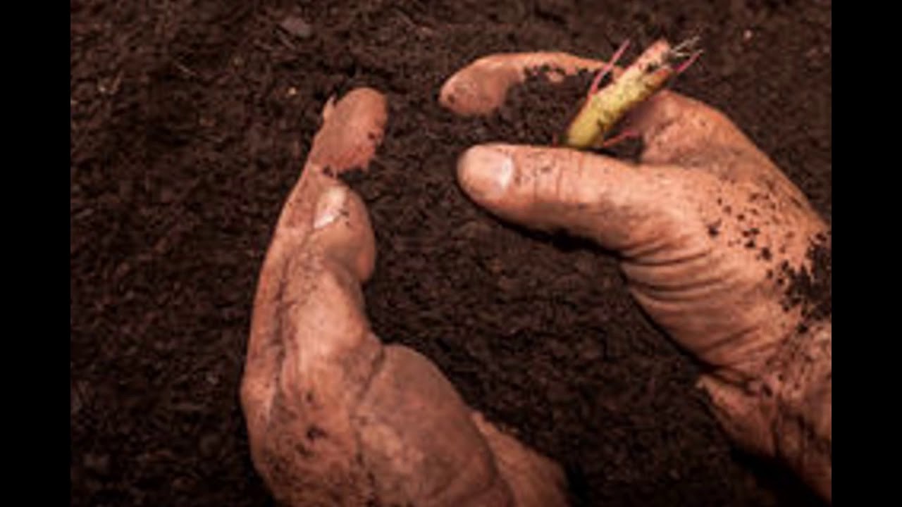 Правильная песня о  Русских Немцев