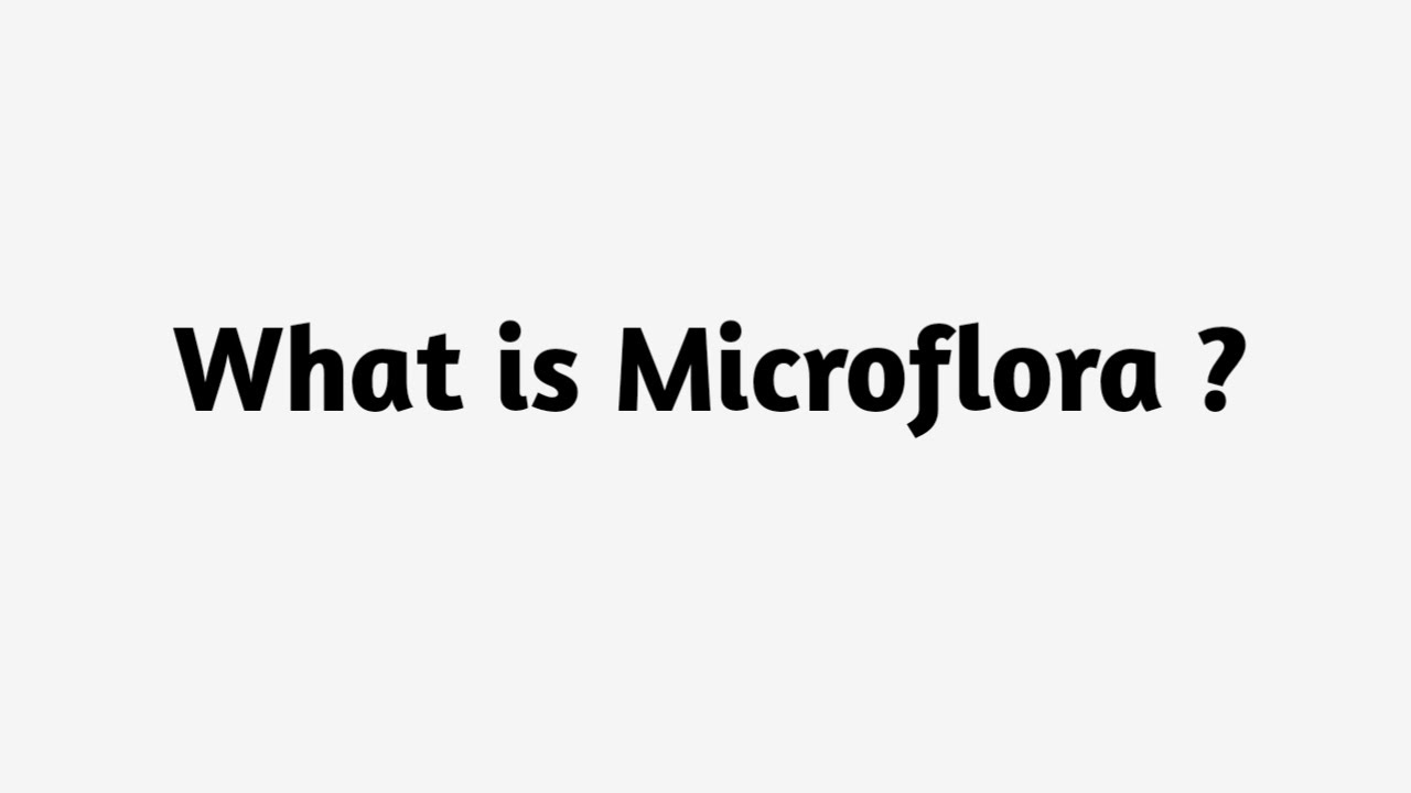 Что такое микрофлора?