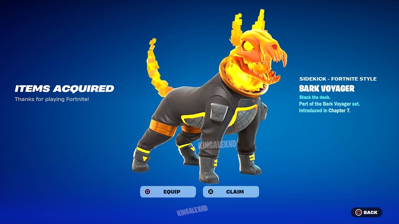 Как получить Bark Voyager Sidekick БЕСПЛАТНО в Fortnite! (Разблокируется в стиле LEGO Bark Voyage...