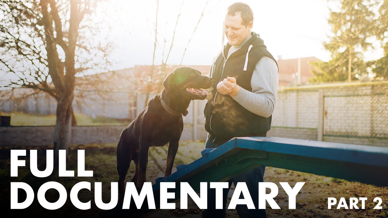 The Working Dog - Full Documentary (Part 2/4)