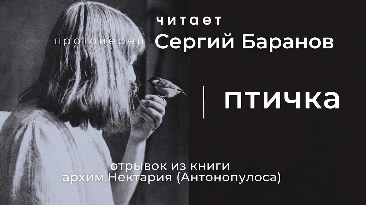 ПТИЧКА. ЧИТАЕТ ПРОТ.СЕРГИЙ БАРАНОВ. Отрывок из книги 