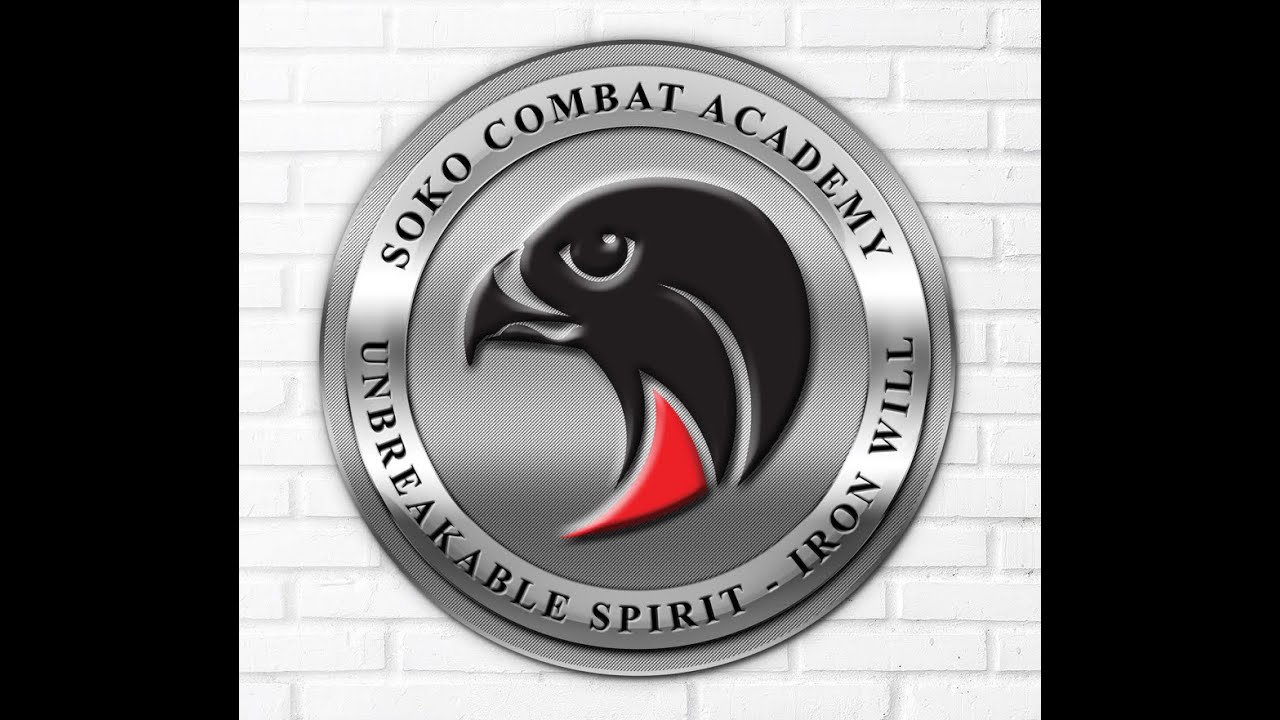 100+ Soko Combat System Techniques: Ultimate Martial Arts Highlights by Igor Grujic