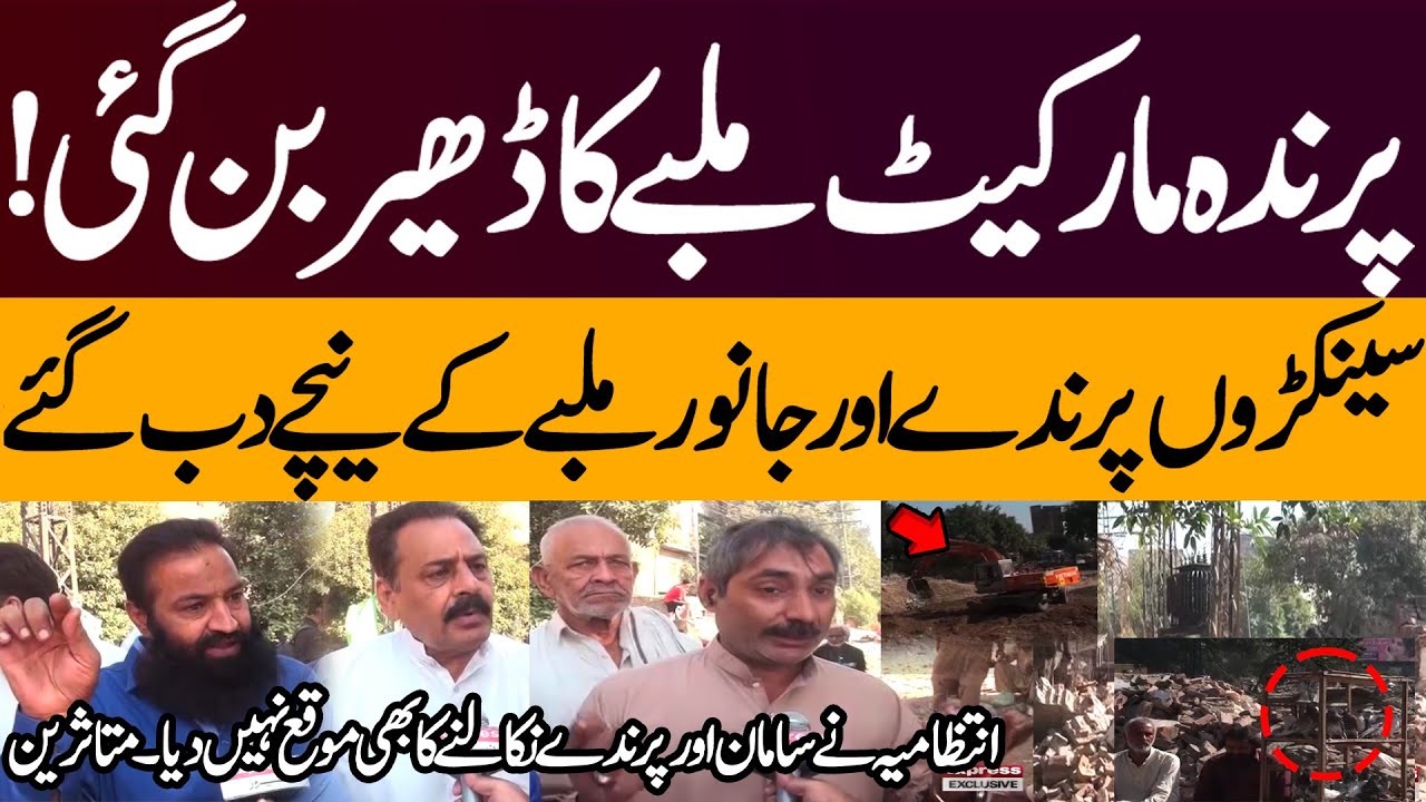 Lahore&rsquo;s Historic Bird Market Demolished Overnight | Traders in Shock