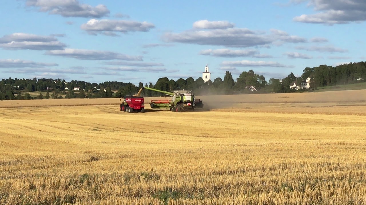 Claas lexion 760tt sk&ouml;rd 2017