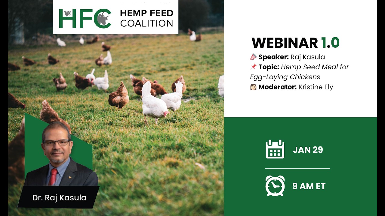 Hemp Seed Meal for Egg-Laying Chickens | Hemp Feed Coalition Webinar Series