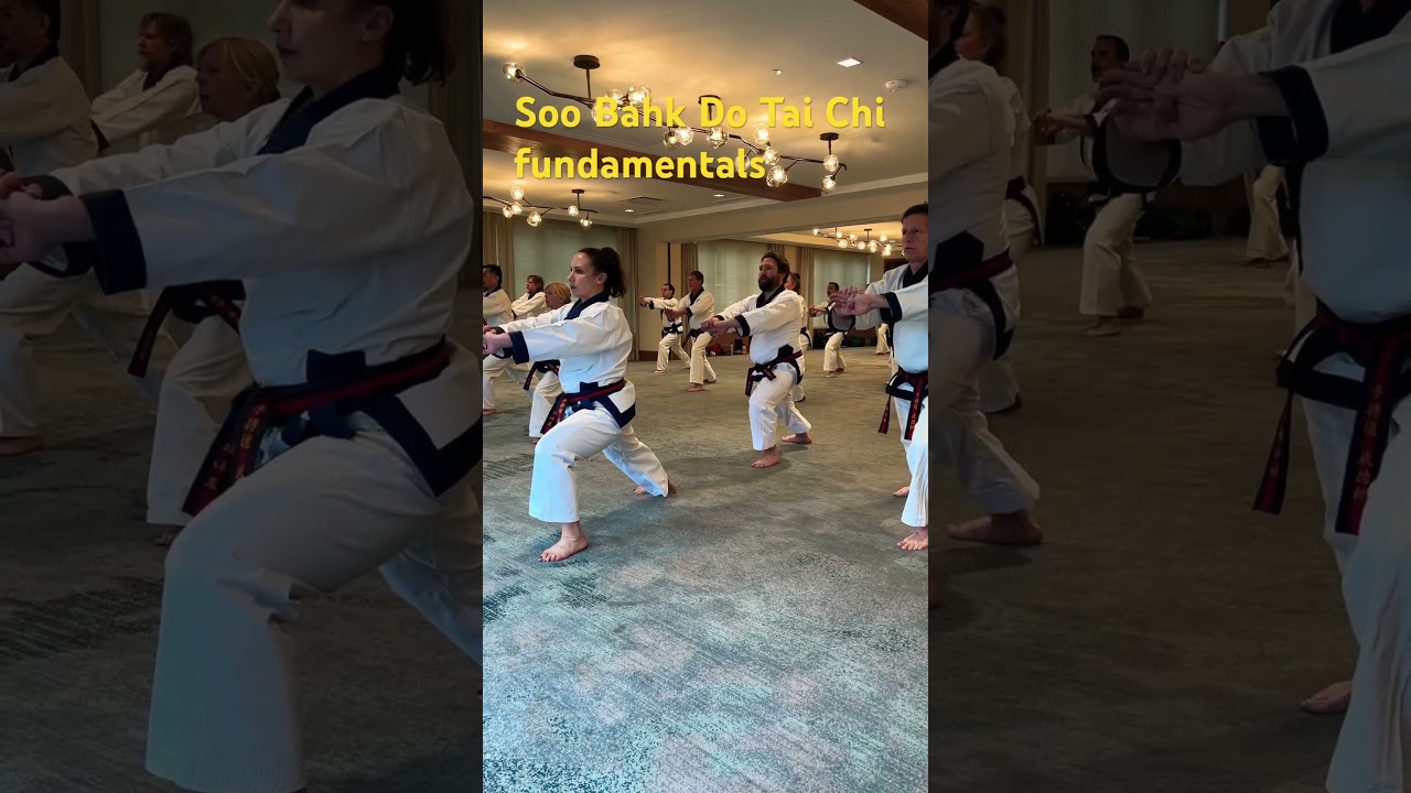 Soo Bahk Do includes Tai Chi fundamentals. Do you see them? 