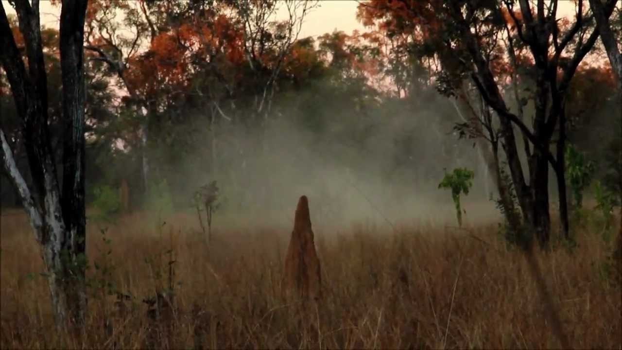 Connection in the aboriginal land
