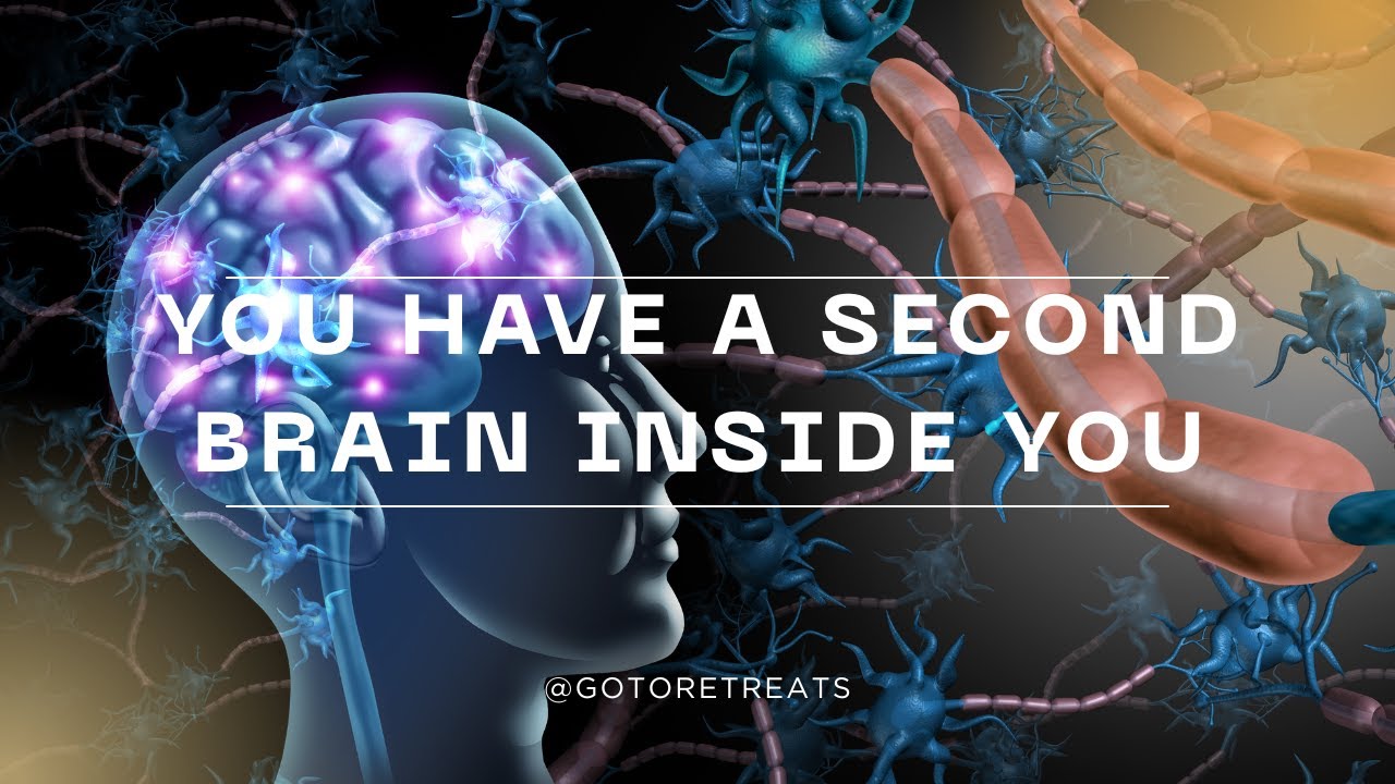 You Have a Second Brain Inside You 🧠✨