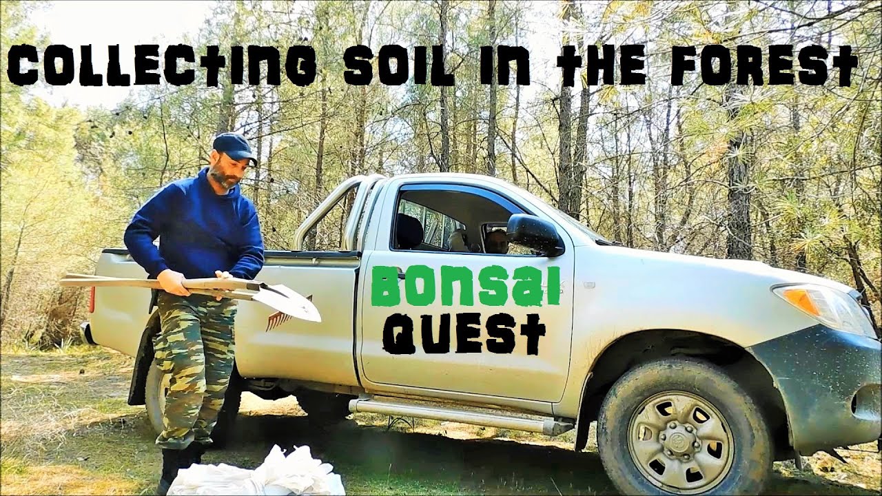 Bonsai Quest Episode 2 - Collecting Bonsai Soil in the Pine Forest, Preparing Soil for Planting