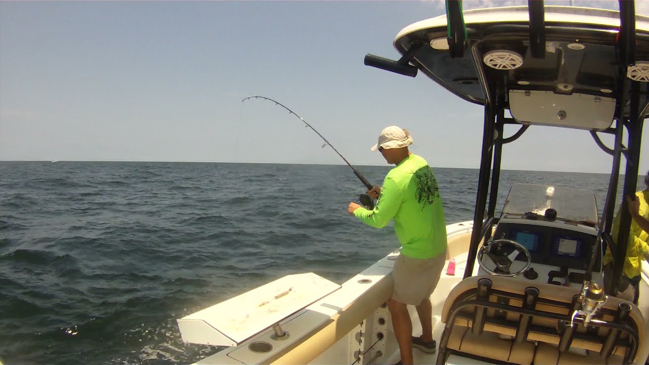 Fishing on a Sportsman 232, Amberjack in Freeport Tx