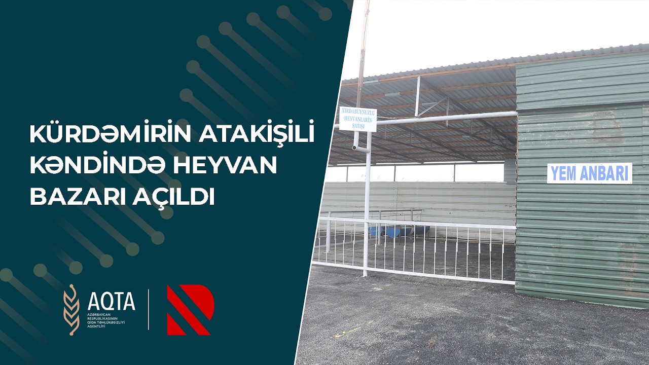 Kürdəmirin Atakişili kəndində heyvan bazarı açıldı - Real TV