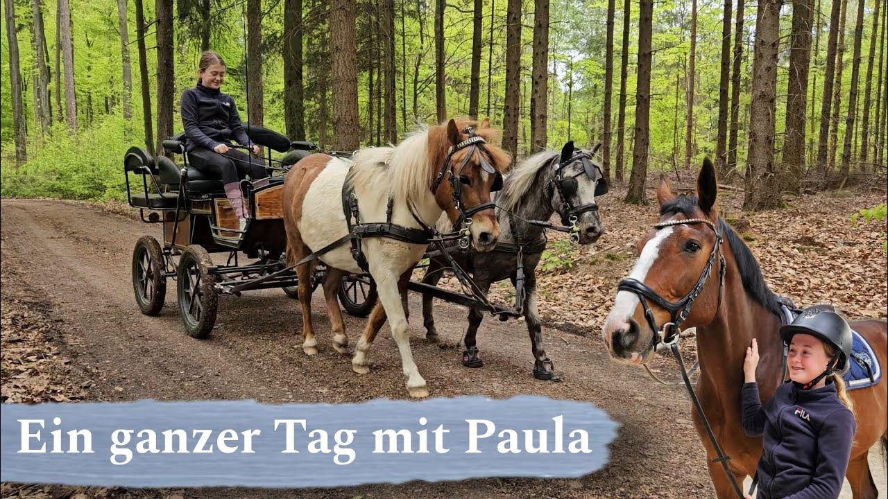 Paula reitet zum ersten Mal auf Quin😍 FMA am Stall🐴