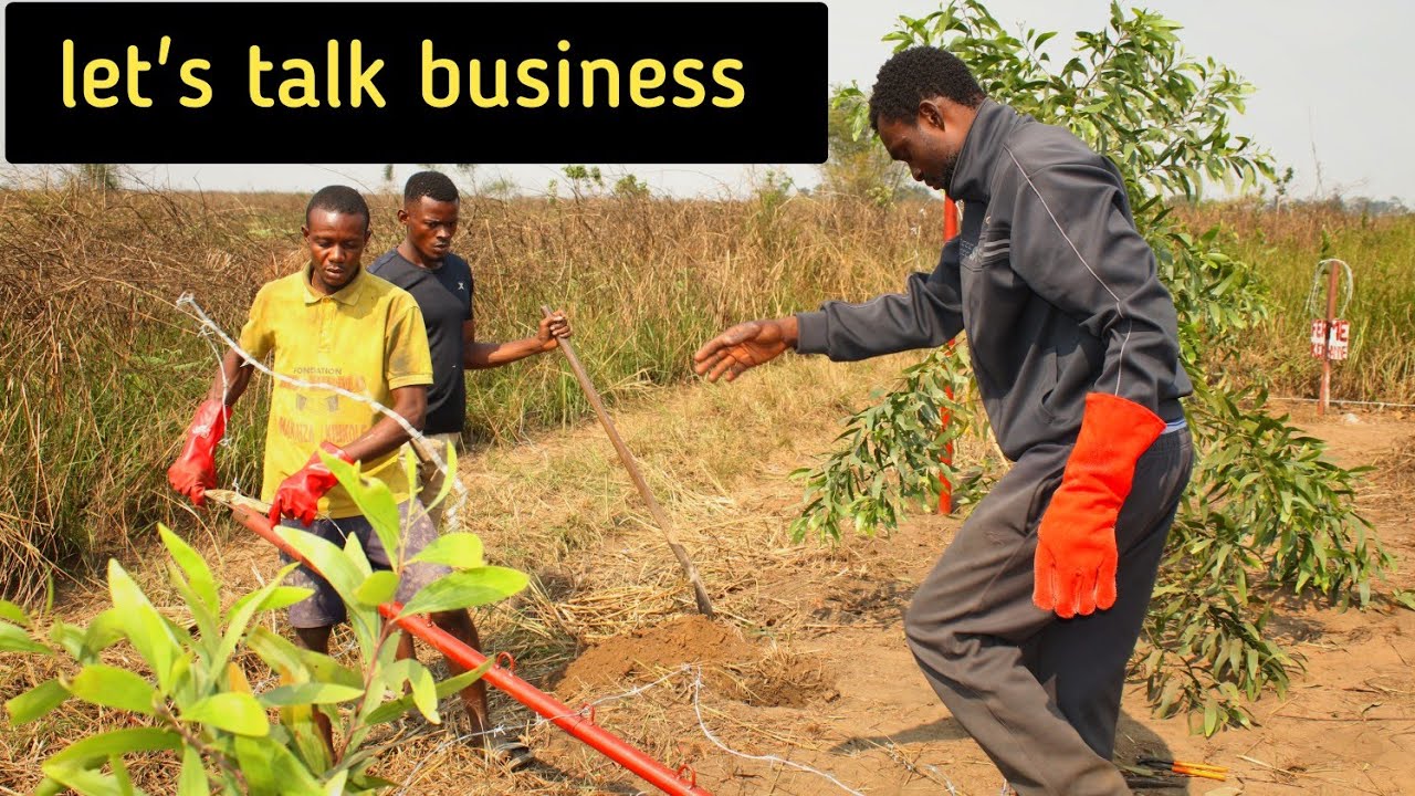 Becoming a Business Owner In Congo In 2023