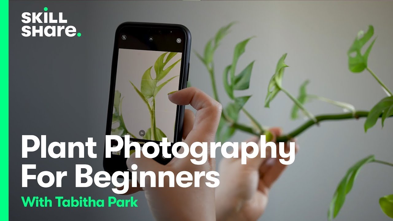 Plant Photography for Beginners