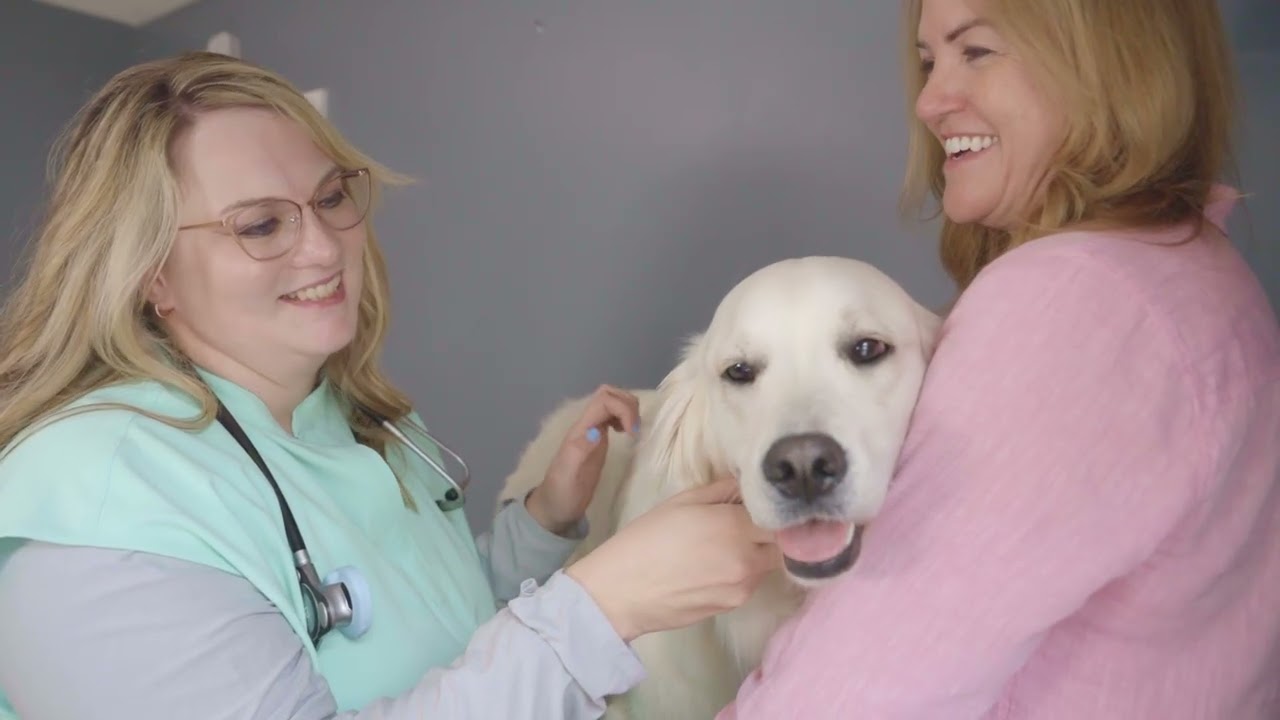 Whisker Wise Lifespan Pet Planner Product Video