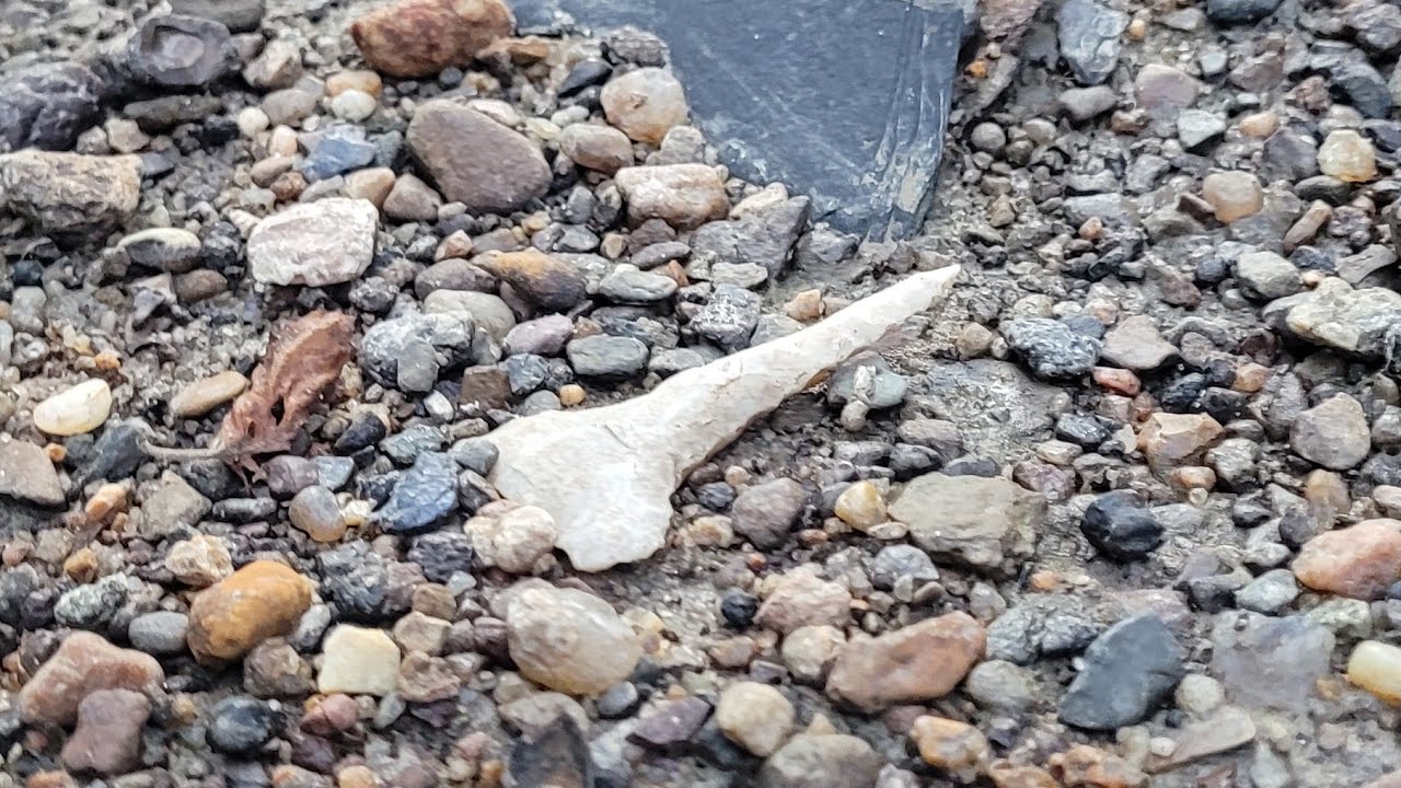 Arrowhead Hunting 2021