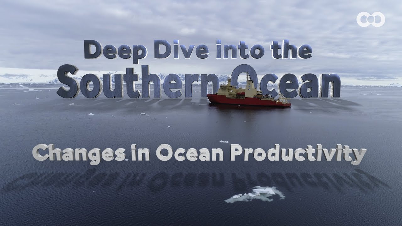 Deep Dive: Changes in Ocean Productivity