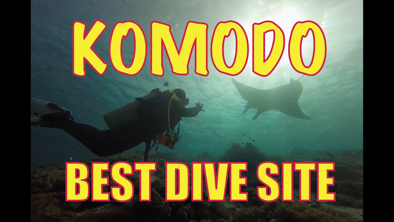 Komodo Diving Trip June 2022 by POW&CIL
