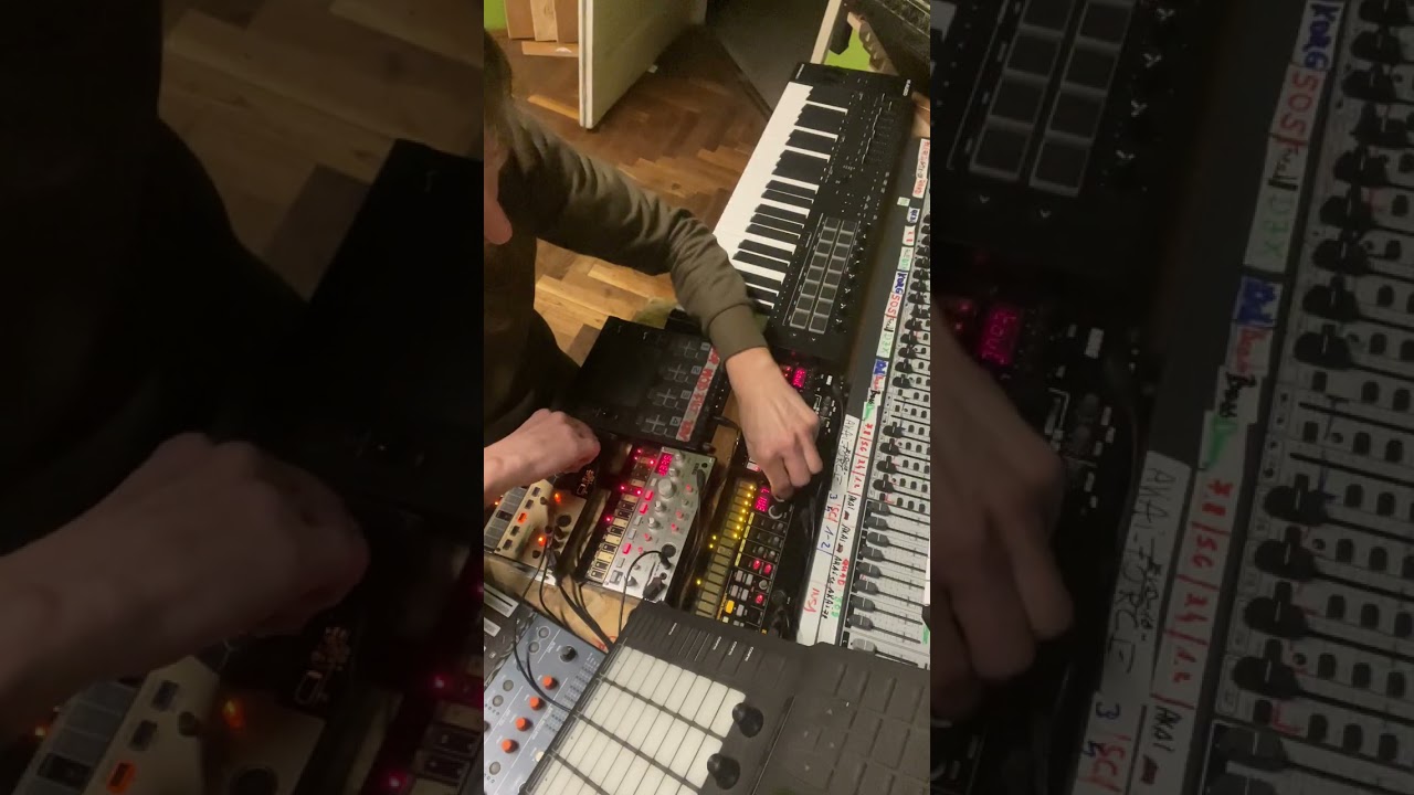 Péntek 13.  Volca live..