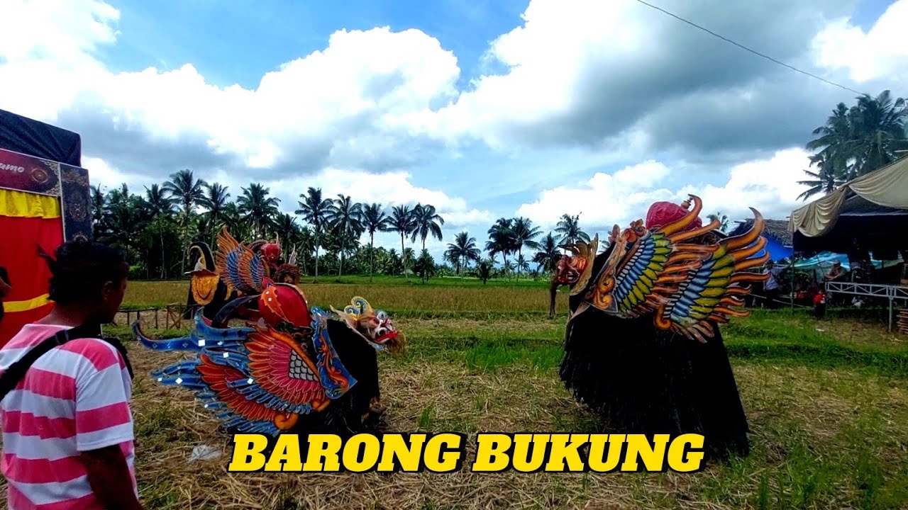 Barong bukung jaranan lintang joyo kusumo live kopen cungking