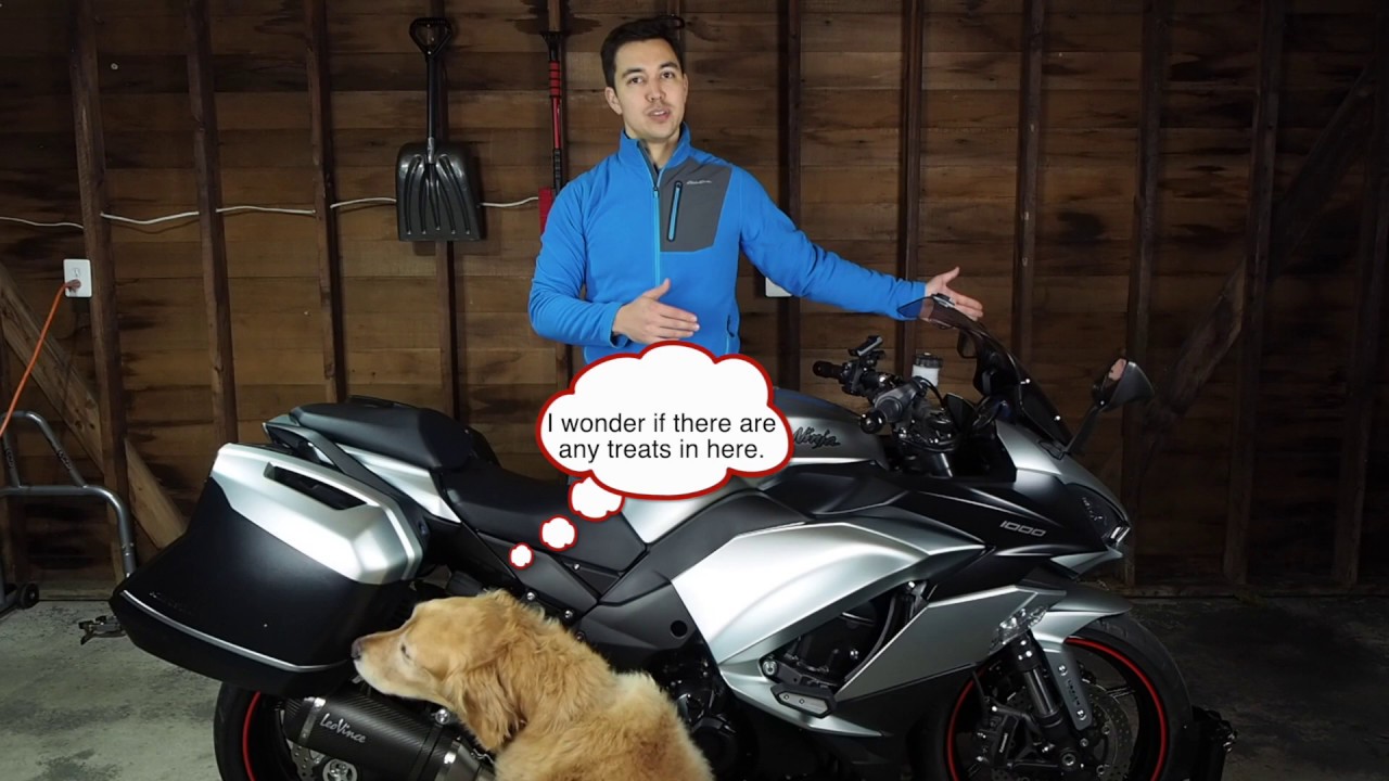 Ninja 1000 / Z1000SX Pannier Review (Also for H2 SX and Versys 650/1000)
