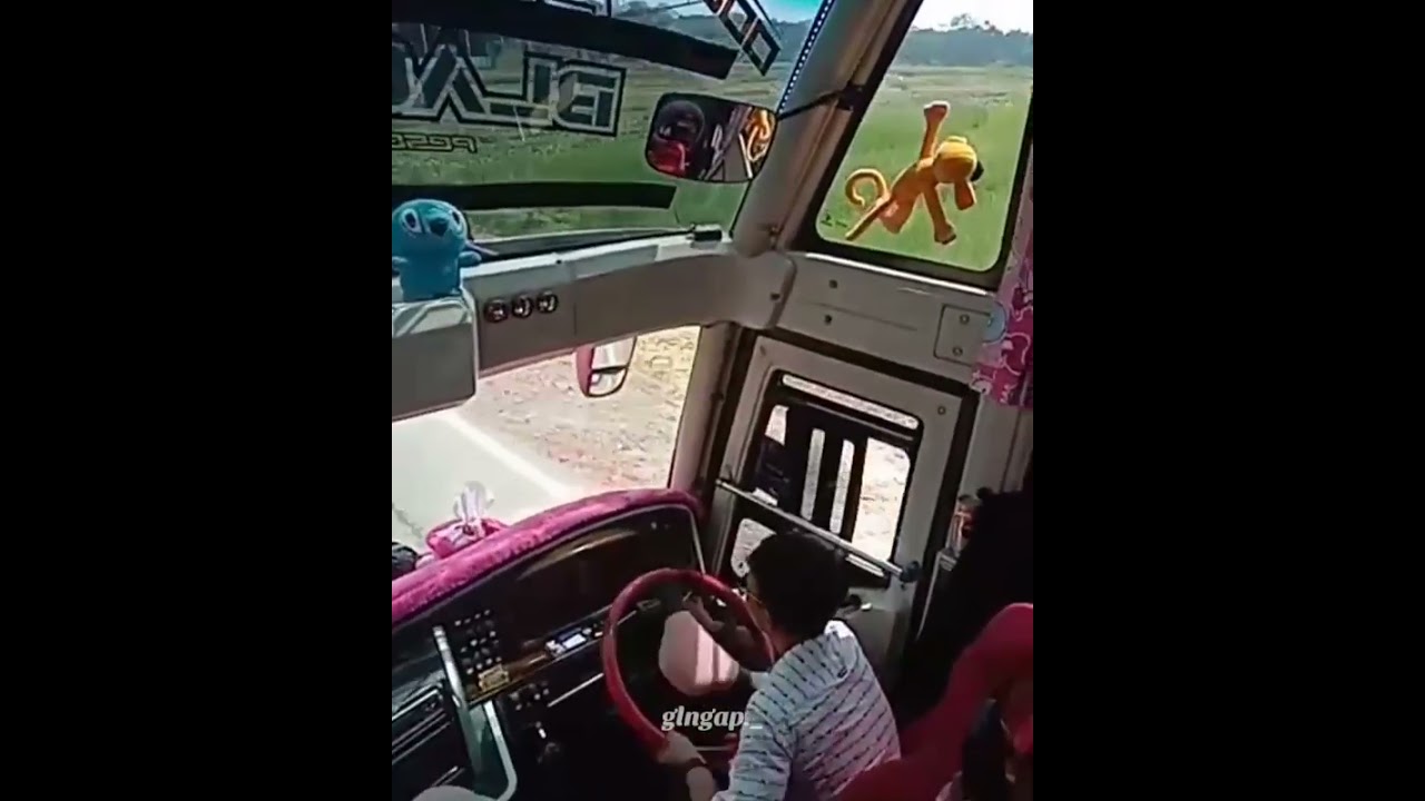 lagi viral banget|| bus TUNGGAL JAYA BLACK PINK OLENG