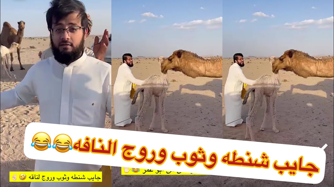ناقه باخطيب جبت نونو جاب لها كيكه وحليب😂😂😂