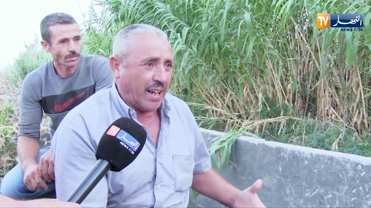 أم البواقي: الفلاحون يتكبدون خسائر فادحة بسبب الفيضانات