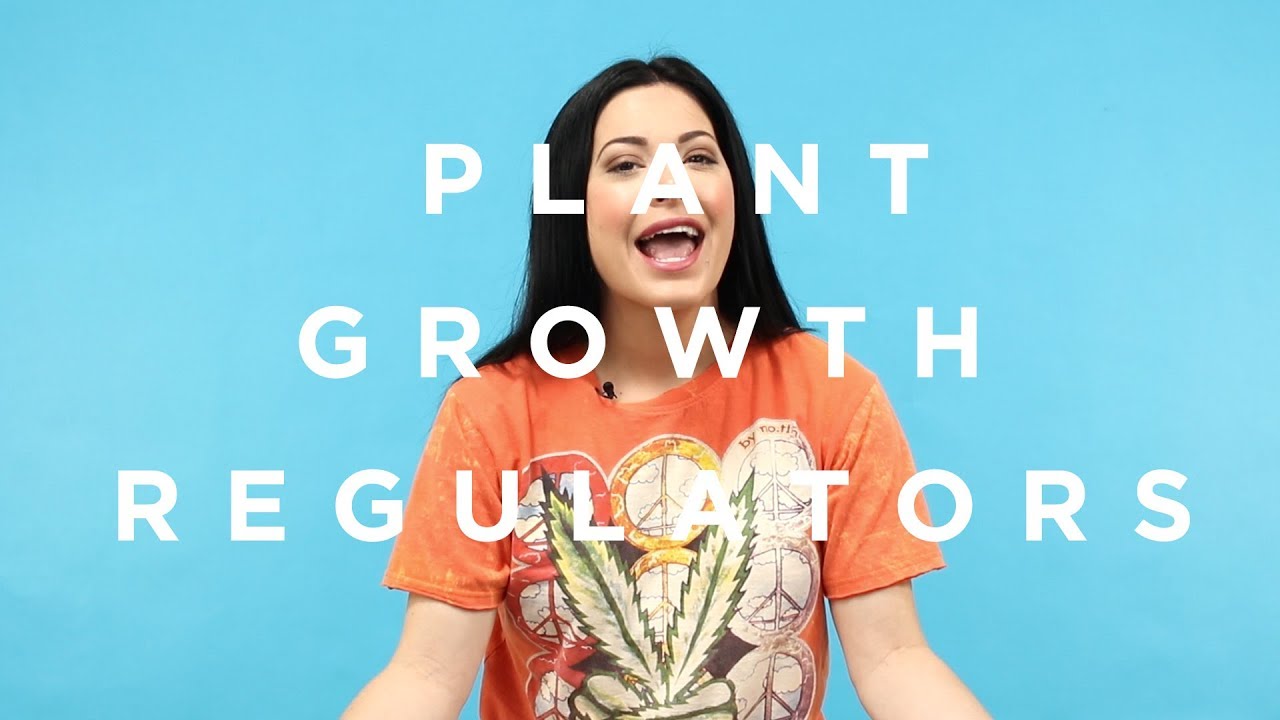 Poison In Your Weed