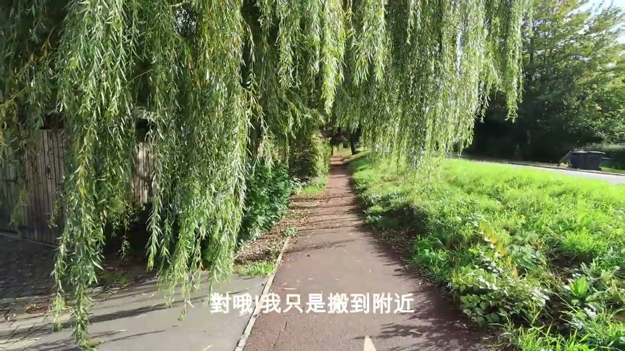 [Neko Daily Vlog #5] Gen Z 出沒注意l戶外走走lGEN Z的兩場音樂會/Gen Z Alert｜A Walk Outdoors｜Two Concerts by GEN Z