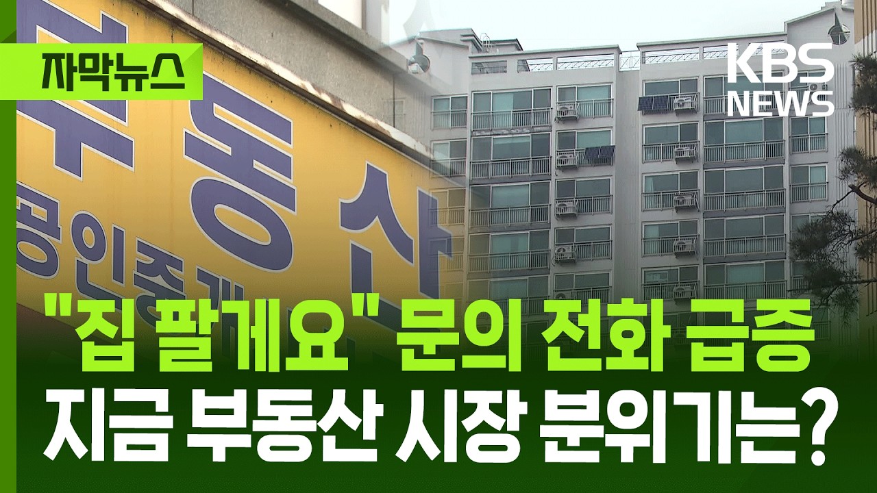 [자막뉴스] 