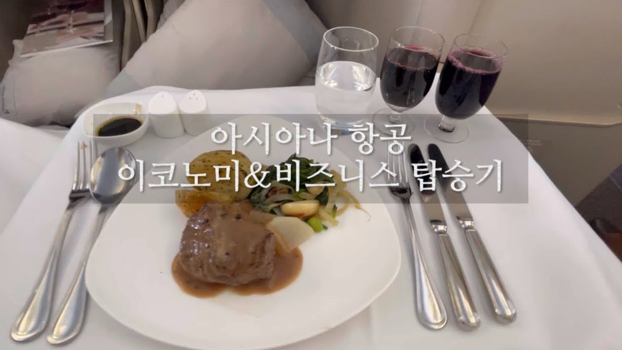 아시아나 비즈니스 A350 / 인천-시드니 이코노미 탑승기