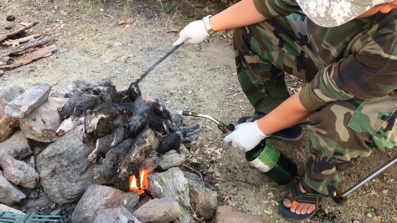 Hmong Squirrels 🐿 hunting in Ca. Zone B3