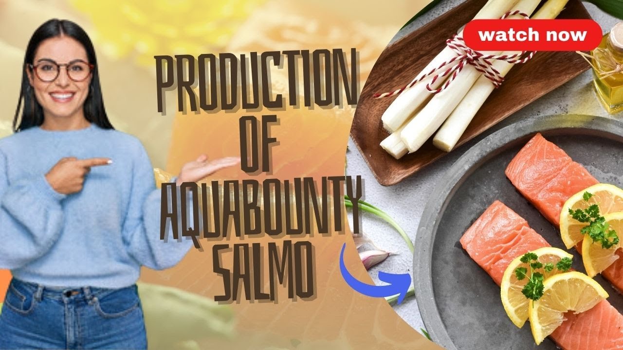 How AquaBounty Salmon Revolutionized Sustainable Seafood Production