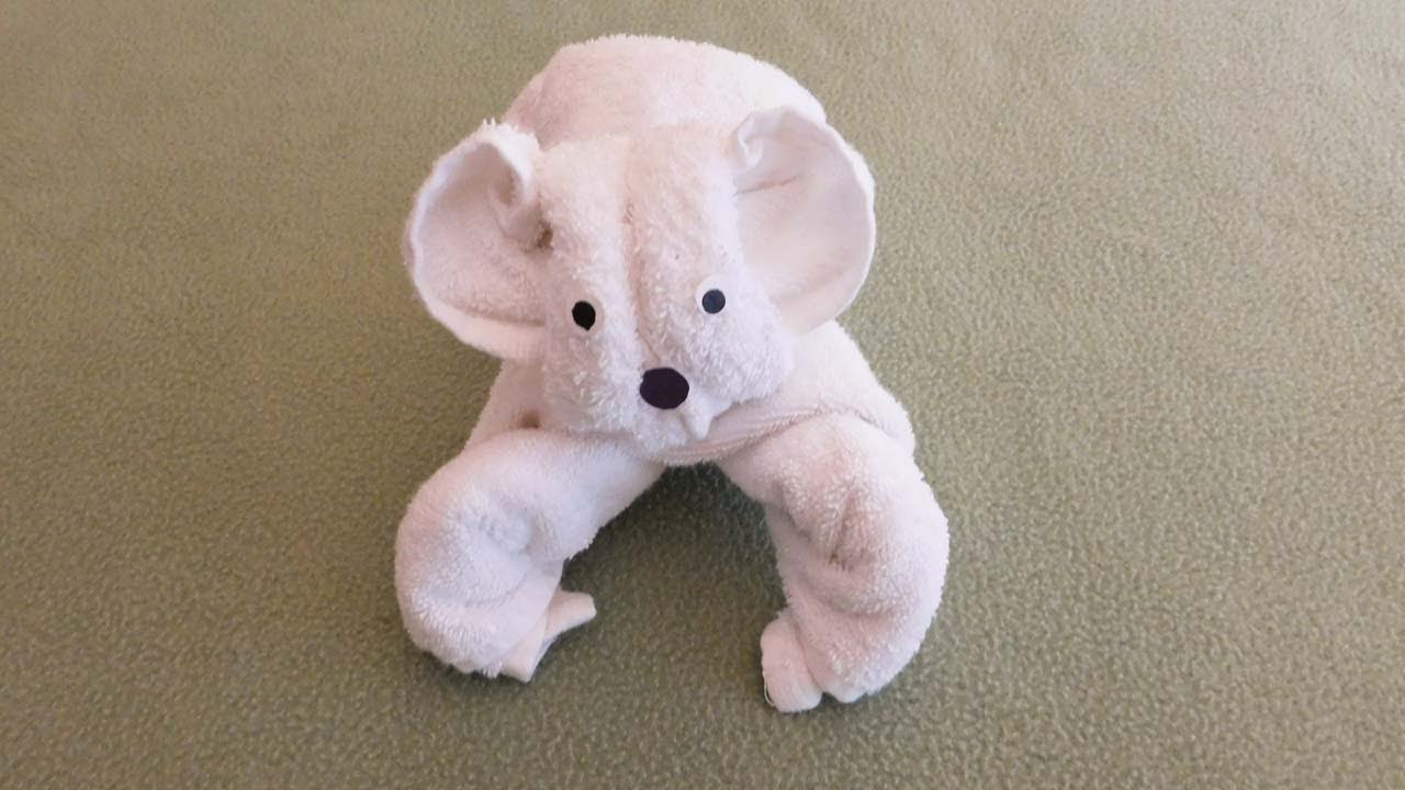 TOWEL KOALA | EASY TOWEL FOLDING TUTORIAL | TOWEL ANIMAL | TOWEL CREATION | CRUISE SHIP TOWEL ART |