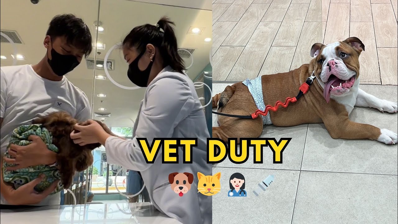 День из жизни ветеринара 💉👩🏻‍⚕️🐱🐶