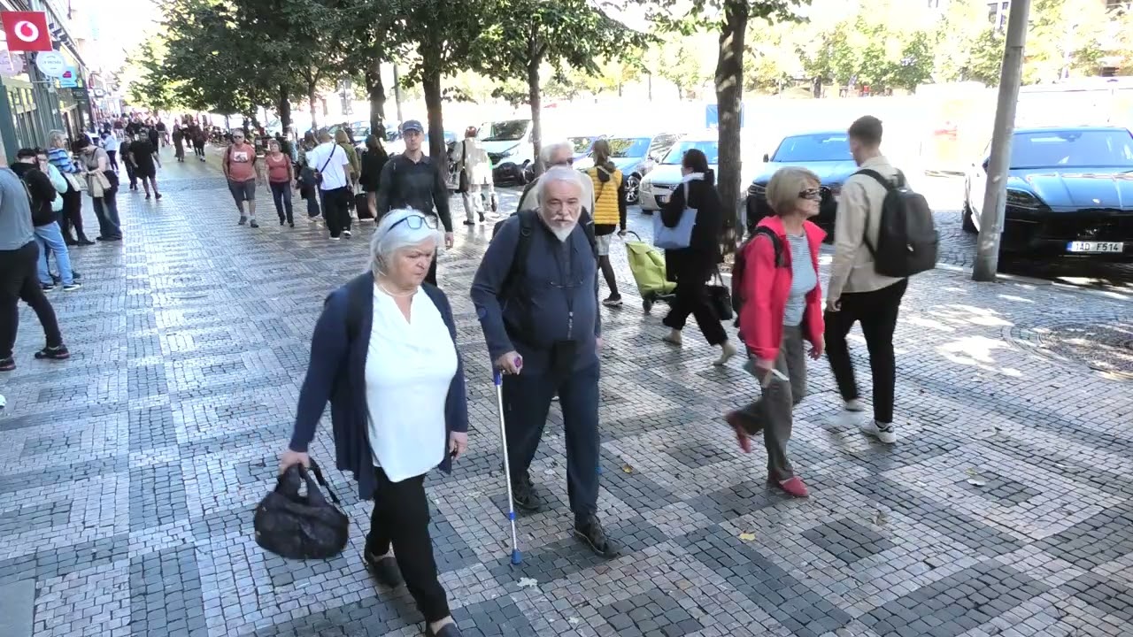 Proč je byrokracie tak pomalá?