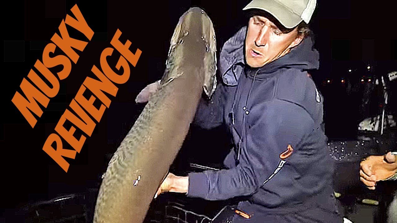 MUSKY REVENGE!! - Fox River Green Bay
