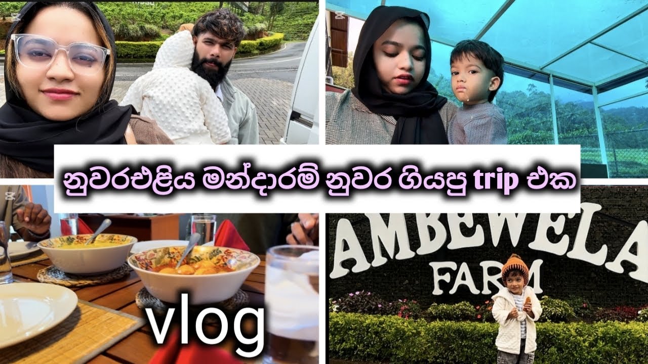 නුවරඑළිය ගිහින් උන දේ minivlog #lifeisbutadream #newproduct #food #whowillbemylifepartnerta