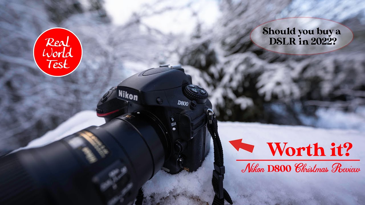 Обзор Nikon D800 в реальных условиях — стоит ли покупать в 2022 году?