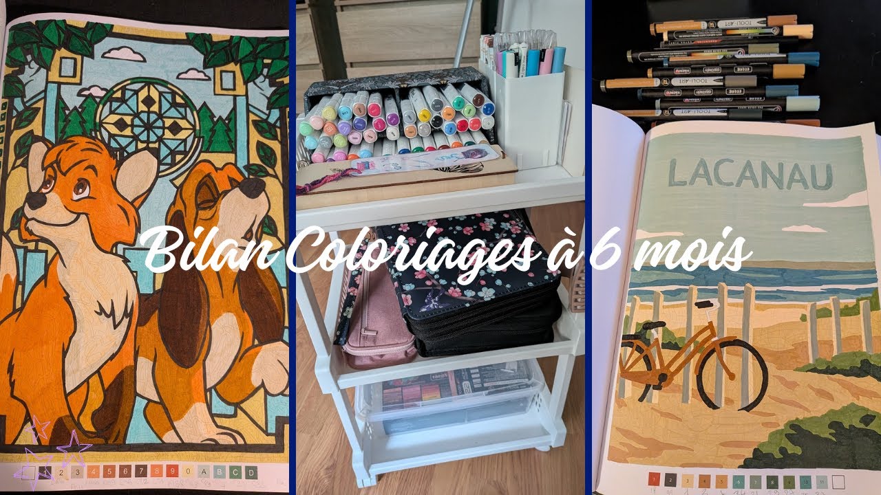 Bilan de mes coloriages : HAUL & BILAN à 6 mois