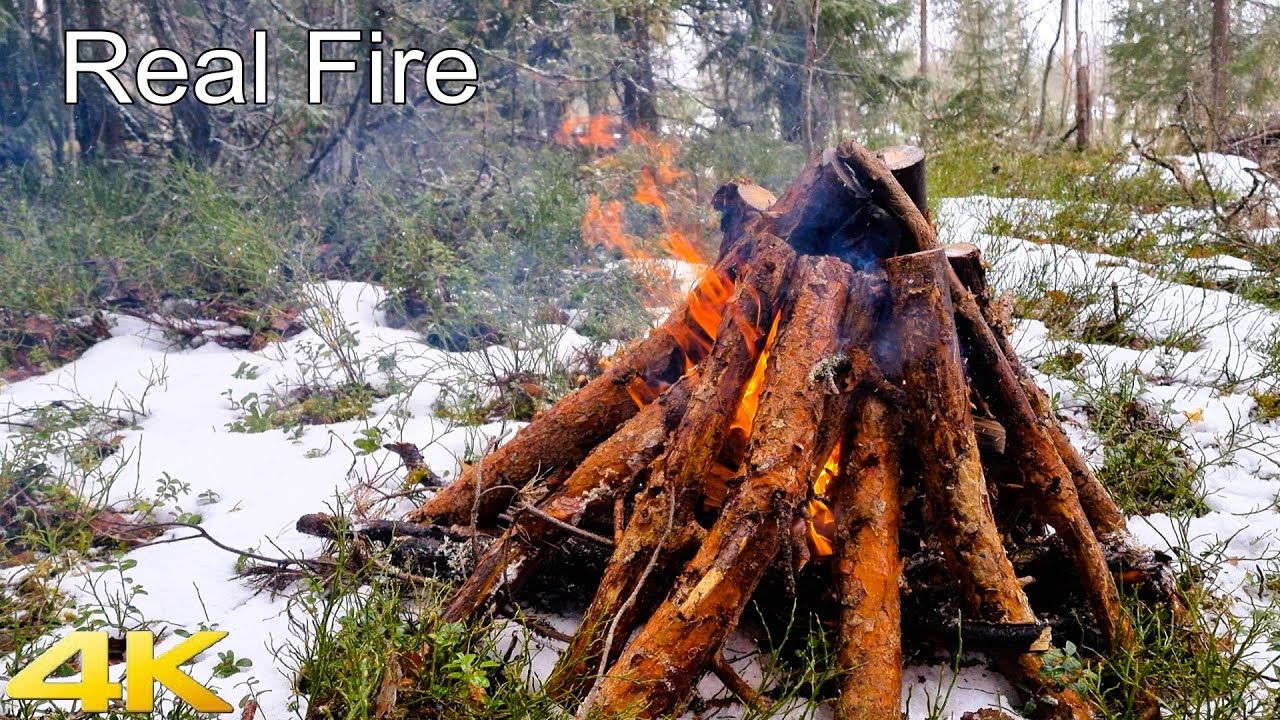 Fireplace & Campfire in Snowy Forest for Deep Sleep | Real Fire 4K