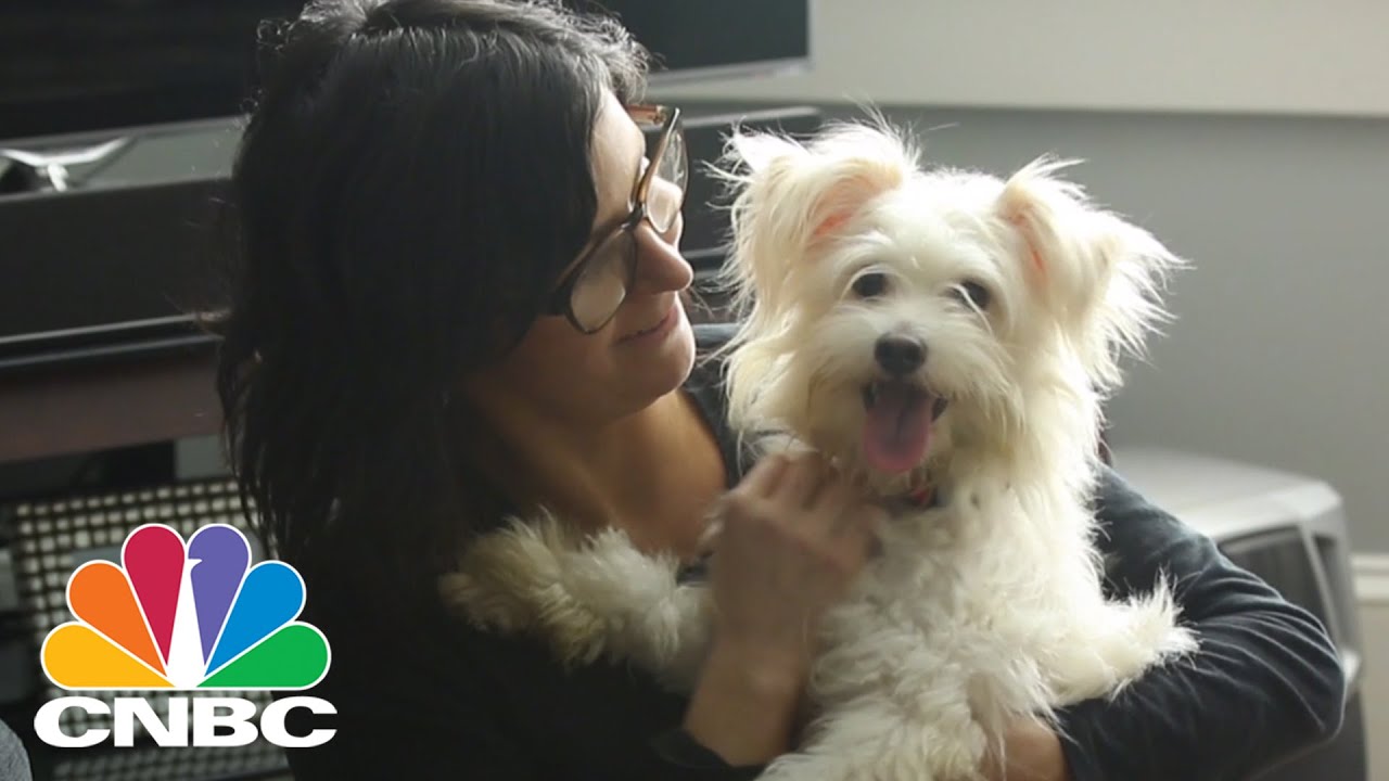 Uber Delivers 'Puppies on Demand' | CNBC