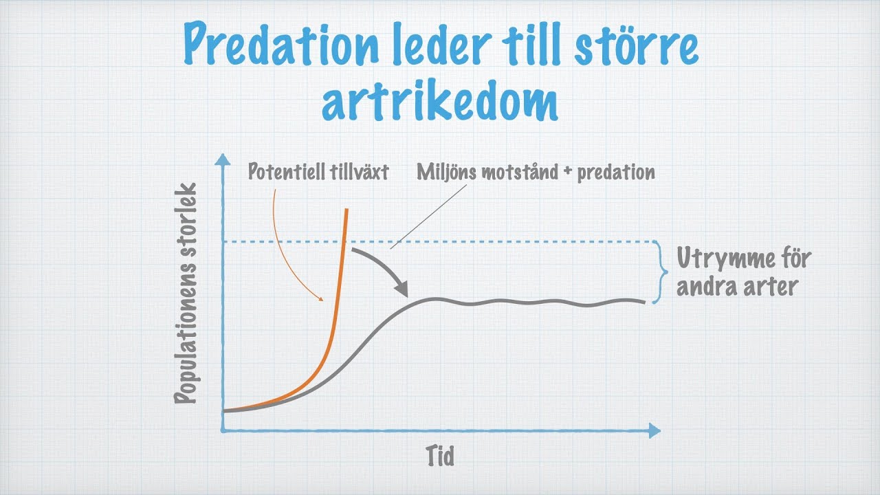 Samhällen. Att leva tillsammans